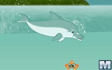 La maquinaria de los Delfines es real? Mejores juegos de la semana