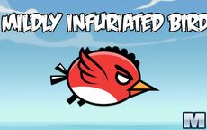 Mildly Infuriated Bird 2
